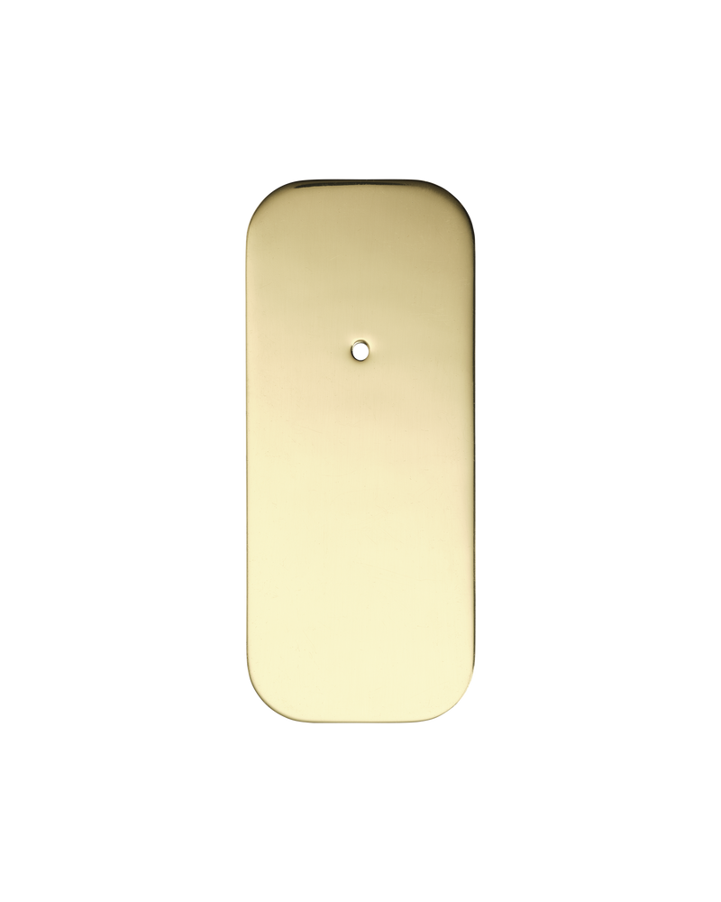 Large Curve Backplate, Polished Brass