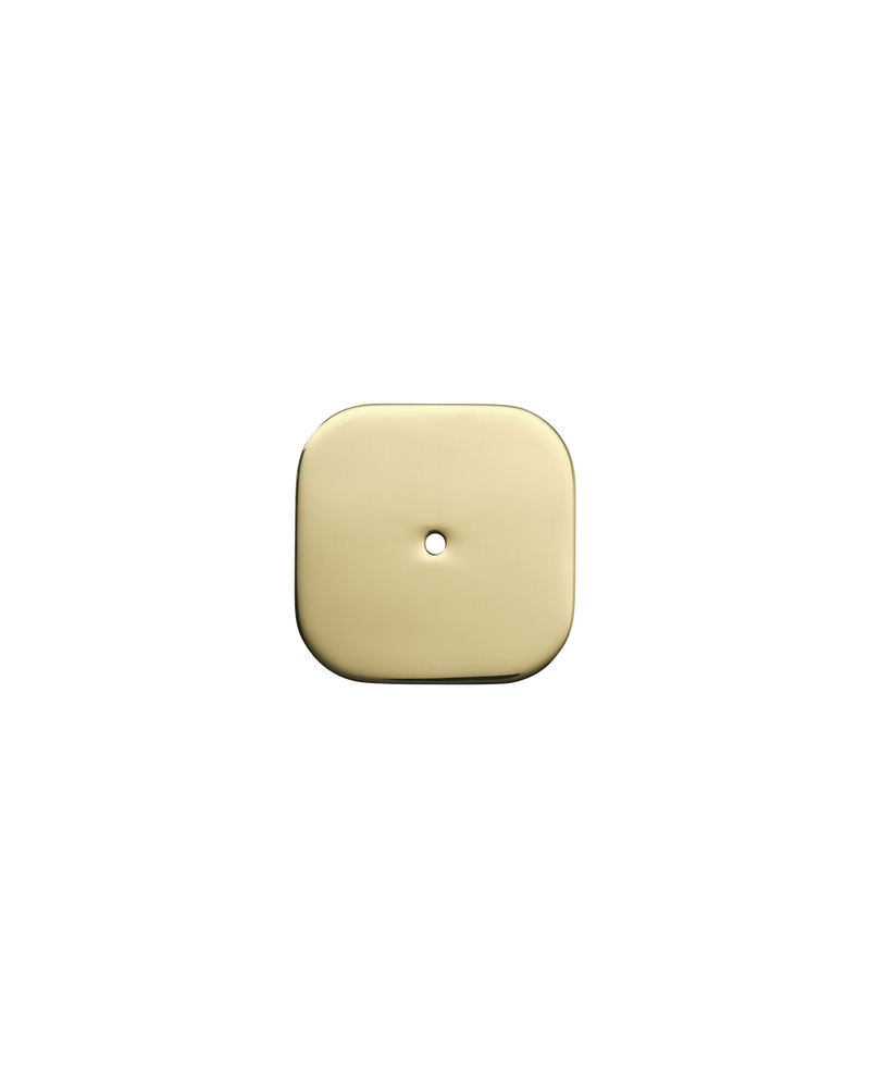 Small Curve Backplate, Polished Brass